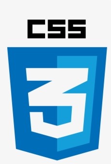 CSS logo